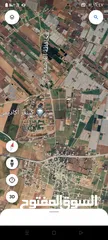  1 4 دونم جنوب عمان منجا طاسان جنب الكنجز اكاديمي
