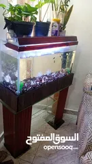  2 حوض سمك لللبيغ