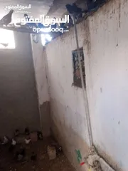  9 حمام بلدي نخب