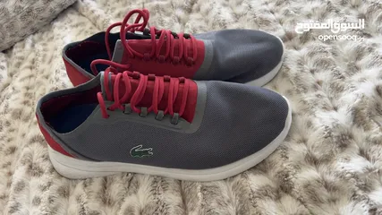  17 Lacoste collection of men's footwear