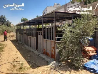  1 غرف خيل حديد