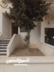  2 شقة أرضية مميزة للبيع في تلاع العلي - قرب شارع الجامعة الاردنية 90م مع حديقة وترس 60م بسعر مغري