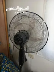  1 مروجتين للبيع