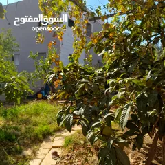  5 منزل للبيع