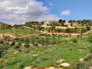  1 ارض للبيع جرش الكتة