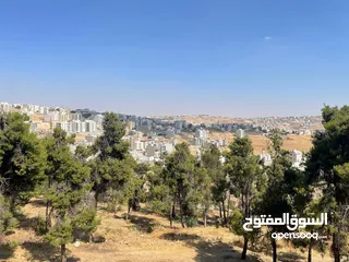  6 عمارة للبيع في البيادر - الدربيات ذات إطلالة