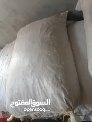  14 نفيعه السنه