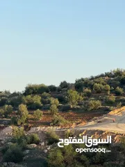  19 للبيع قطعة ارض منطقة نادرة / شرق جرش موقع مميز جدا وبسعر مغري