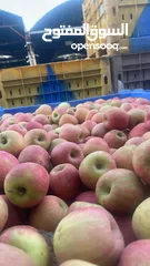  9 مشروع تجاري مربح بحاجه لتمويل