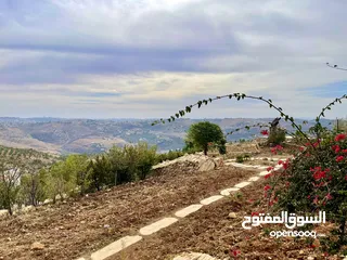  6 أرض مميزة في منطقة النعير 3000 متر