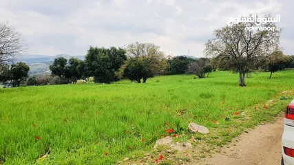  1 4 دونمات جلعد قرب مطعم نسيم الجبل