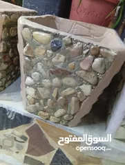  7 احواض زريعه اسمنتيه قابله للبدل على طيور