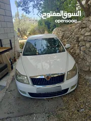  1 سكودا رمش اصل انيو للبيع