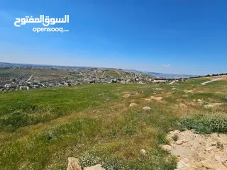  13 أرض سكنية 750 م للبيع في ام رمانه - 900 م عن شارع الأردن