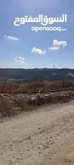  1 10 دونم موقع خرافي قمه جبل منطقه فلل و قصور عاليه و كاشفه عبين
