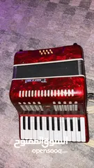  2 Parrot accordion