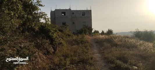  1 عقارات النسر الذهبي ابو قصي