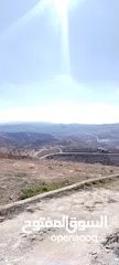  10 قصر على أعلى نقطة خربة الطوي على 10 دنمات