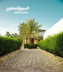  1 شاليه للأيجار اليومي البحر الميت