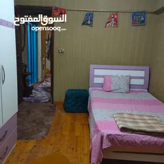  3 شقة مفروشة للايجار في العريش فيصل