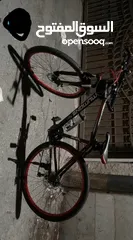  1 بسكليت جديد جنط 29 للبيع