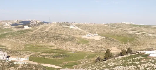  7 زينات الربوع قرب الترخيص