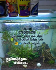  22 رمل سيلكا  توف بركاني  كوارتز  كسر رخام احجار وصخور مميزه سكيب احواض سمك