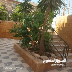  17 شقه شبه ارضي للبيع في منطقه عرجان خلف مستشفى الاستقلال