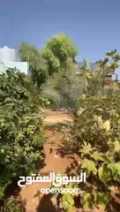  21 للبيع .... مزرعة و فيلا مفروشة مع مسبح خاص في منطقة الجوفة في الغور