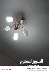  1 متفرقات منزل برادي عصافير ثريات