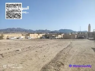  3 ارض للبيع بمصفوت سكنى زاوية شارعين