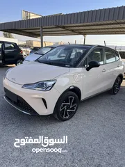  3 نيتا آيا موديل 2023  Neta aya v zeroo كاش او اقساط باقل سعر بدفعة اولى 1500 عالهوية تسليم مفتاح