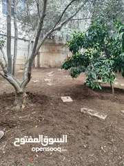  9 بيت منفصل مع حديقة للبيع بسبب السفر طولكرم شارع كتابا قرب حلويات البدر وجامع القيسي