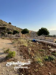  1 مزرعة في مغاريب السلط من المالك مباشرة