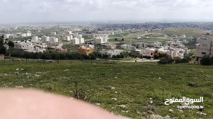  8 ارض للبيع في أربـــــــــــــــــــد ــ ناطفه