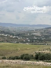  3 ارض للبيع جرش عنيبه مساحة الارض 3500متر مسنسله اطلاله بنوراما مميزه