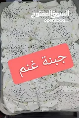  1 جبنه غنم بلديه 100%