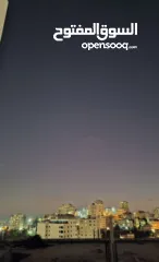  2 شقه عظم للبيع