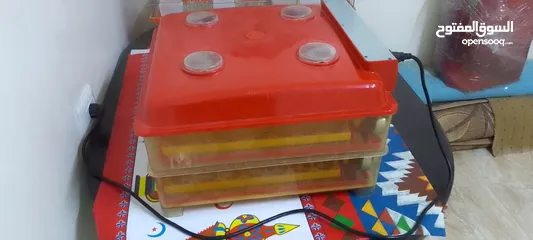  2 فقاسه للبيع
