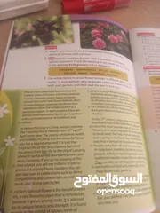  1 تدريس لغة انجليزية خصوصي