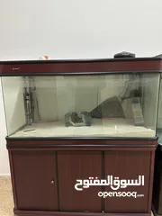  2 Aquarium احواض اسماك