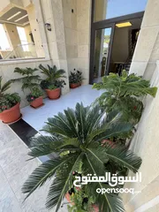  14 اخر شقة ارضية مع كراج خاص و ترس في طريق المطار خلف المدارس العالمية