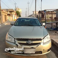  1 شفر ابيكا امريكي