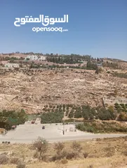  21 5300م حوض الروضه حوض المصدار بسعر لقطه طاله على سيل حسبان