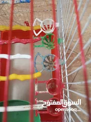  12 قفص مع اغراض كثير اقرأ الوصف