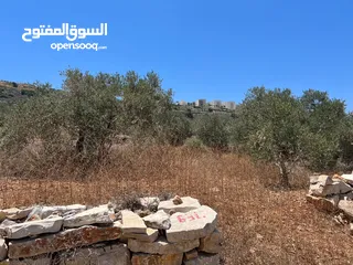  6 Land for Sale – Marda, Salfit (13.8 Donums)  أرض للبيع – مردة، سلفيت (13.8 دونم)