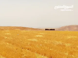  16 مادبا ماعين المشرفة قطعة ارض زراعية مميزة واصل الخدمات ذات اطلالة على البحر الميت واصل الخدمات