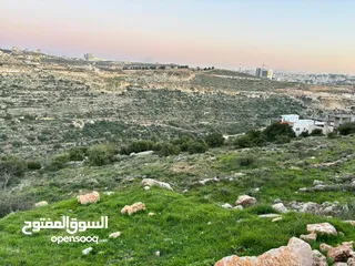  11 ارض للبيع - تصنيف سكني - مقابل الريحان - وبسعر مغري جدا