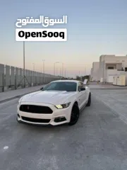  1 موستغ ((برفومنس بكج))