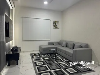  3 للايجار الشهري شقة مفروشة غرفة وصالة في عجمان منطقة الجرف